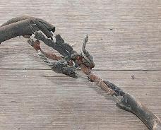 Perished rubber sheathed cable